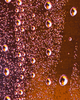 A graduate artist in the UK captures a close-up of condensation droplets on a glass surface, where vibrant orange and yellow lighting create an abstract pattern. This mesmerizing piece is part of the graduate artworks for sale by The Graduate Gallery.