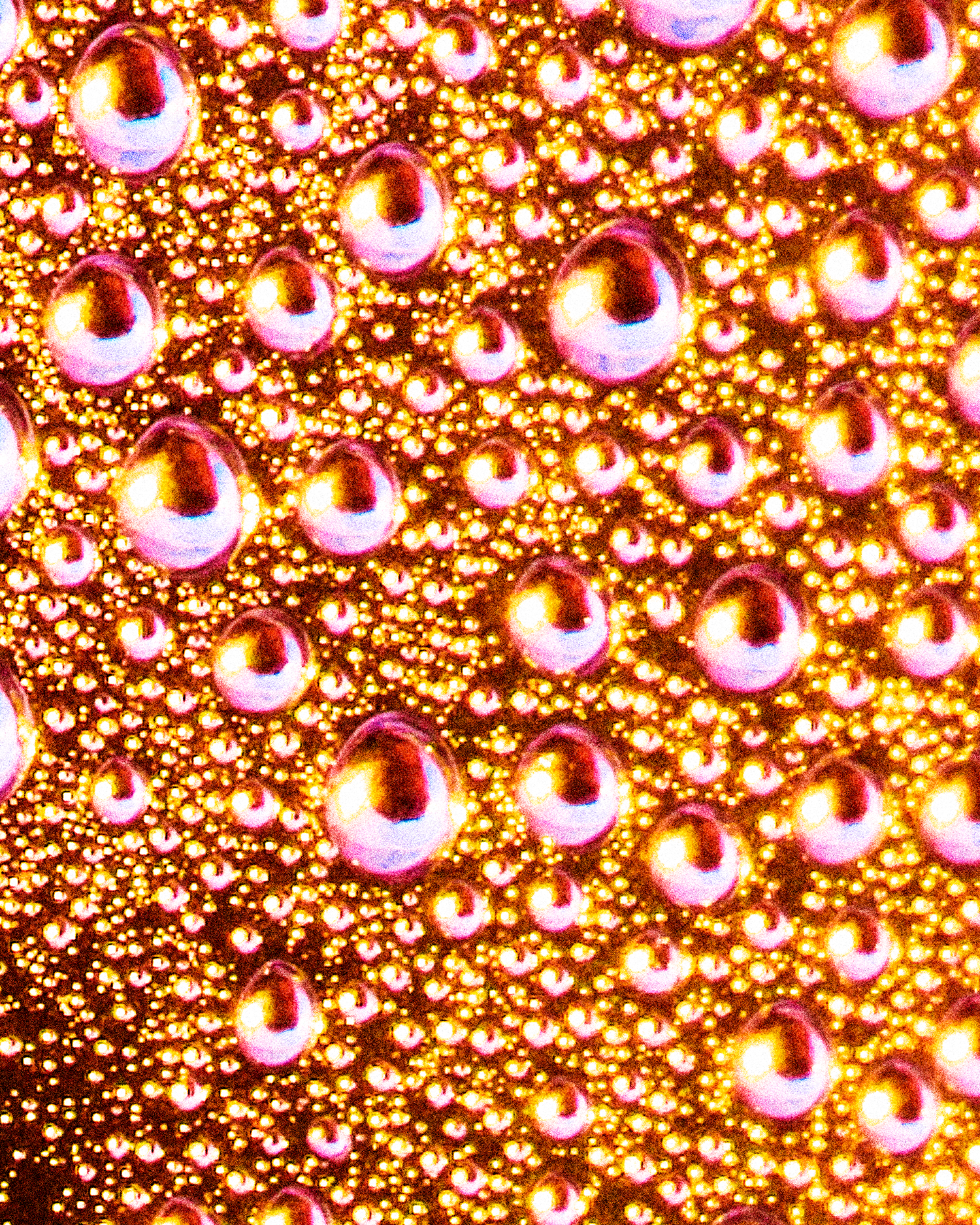 Joel Dixon, a graduate artist in the UK captures a close-up of condensation droplets on a glass surface, where vibrant orange and yellow lighting create an abstract pattern. This mesmerizing piece is part of the graduate artworks for sale by The Graduate Gallery.