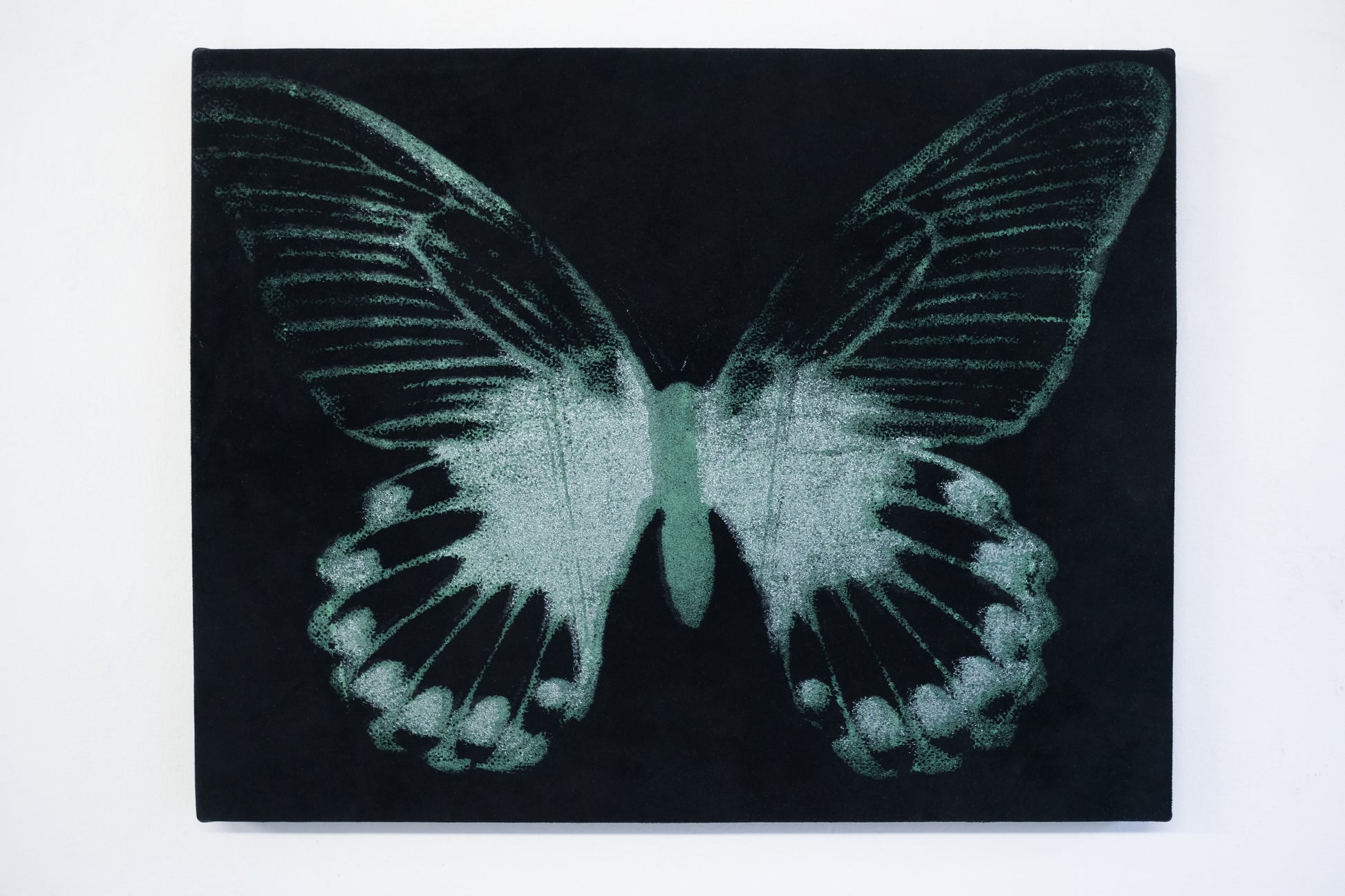A black canvas by a talented graduate artist in the UK called Isabel Mills showcases a stylized butterfly with greenish-white, speckled wings. Available for purchase, this striking piece is part of the Graduate Artworks collection at The Graduate Gallery.