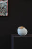 Object Narratives no.2