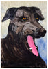 A vivid painting by a graduate artist in the UK showcases a black dog with expressive yellow eyes and an open mouth, revealing a pink tongue. The textured brushstrokes add depth to the fur and background in shades of grey and blue. This graduate artwork is available for sale at The Graduate Gallery.