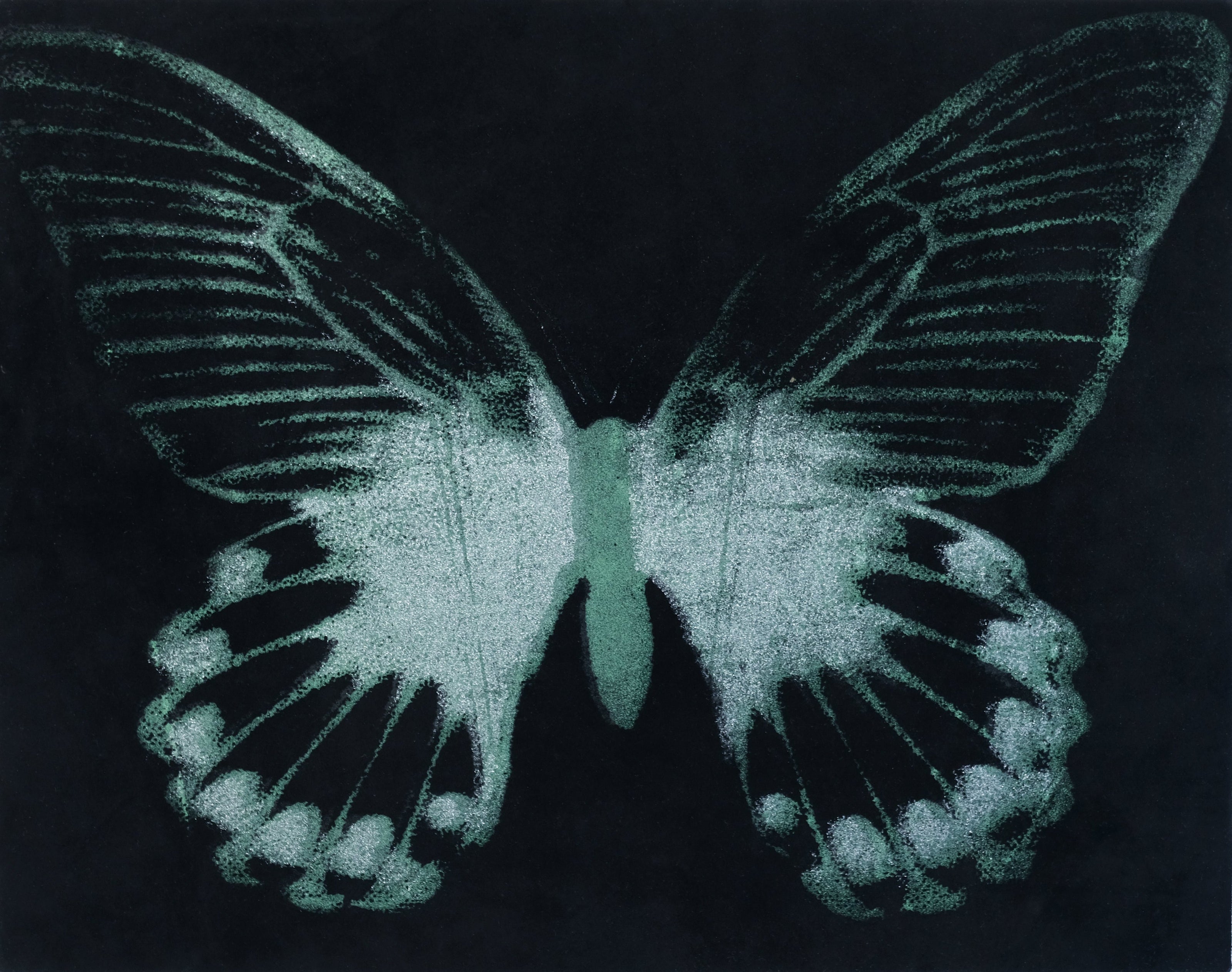 Moth painting butterfly suede isabel mills
