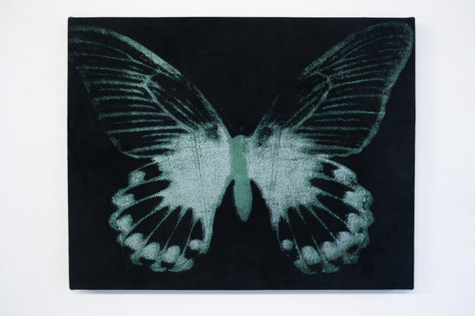 A black canvas by a talented graduate artist in the UK called Isabel Mills showcases a stylized butterfly with greenish-white, speckled wings. Available for purchase, this striking piece is part of the Graduate Artworks collection at The Graduate Gallery.